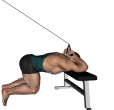 Triceps Extension - Kneeling Cable
